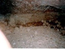 Мощи 14 тыс. избиенных царем Иродом МЛАДЕНЦЕВ в катакомбах у Вифлеемской пещеры